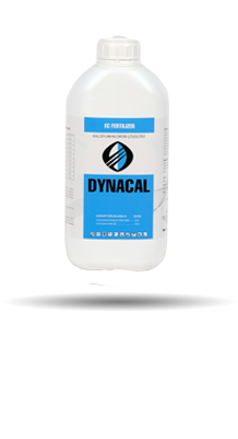 DYNACAL