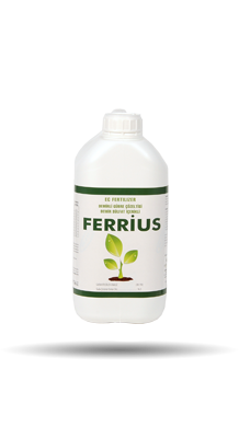 ferrius