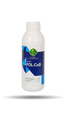 FOLCAB