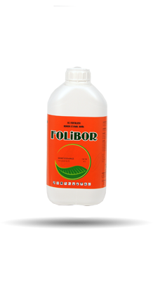 folibor