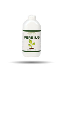 FERRIUS