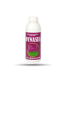 DYNASEA 